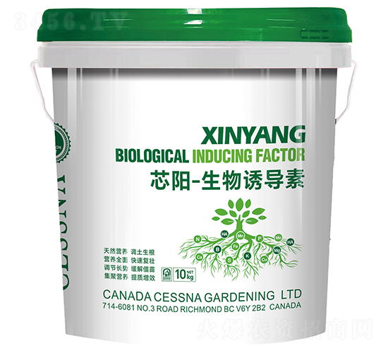 о�(y��ng)-�����T��(d��o)��-�ЅR�r(n��ng)�I(y��)