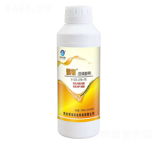 �n�D�������0-525-270+TE-��������