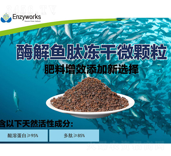 ø���~(y��)�ă���΢�w��-��������