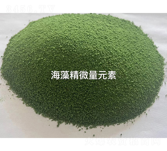 ���徫΢��Ԫ��-���u��������