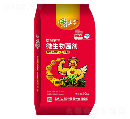 ��Ѫ����ø΢�������-�ߺ�