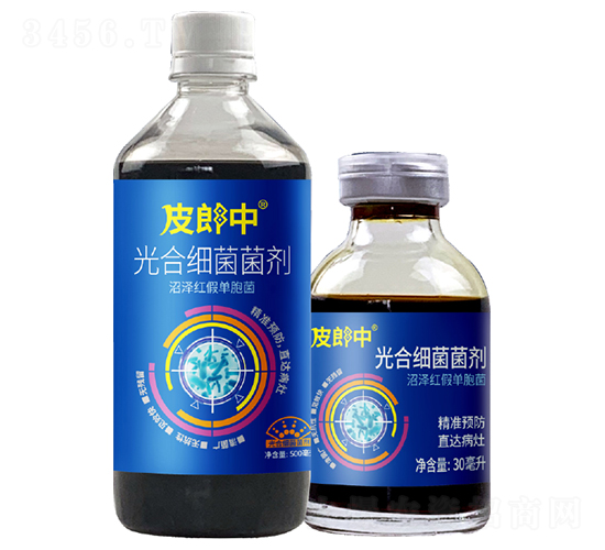 ��ϼ�(x��)������-Ƥ����-��������