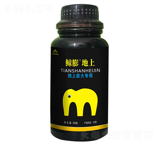 �L�����-����ú