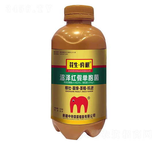 �ӝɼt�نΰ���-����������-����ú