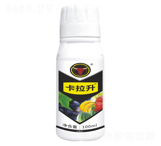 �׷ی���-������-��ţ��(gu��)�H