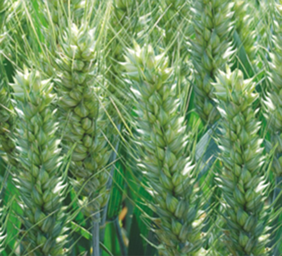 ����32-���N�I(y��)