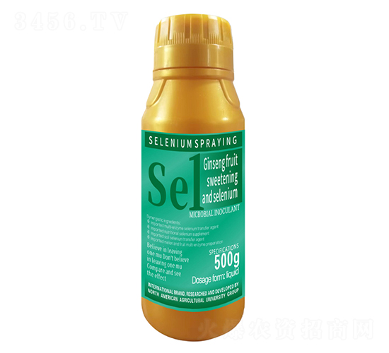 500g�˅������������������1̖(h��o)-�����r(n��ng)��