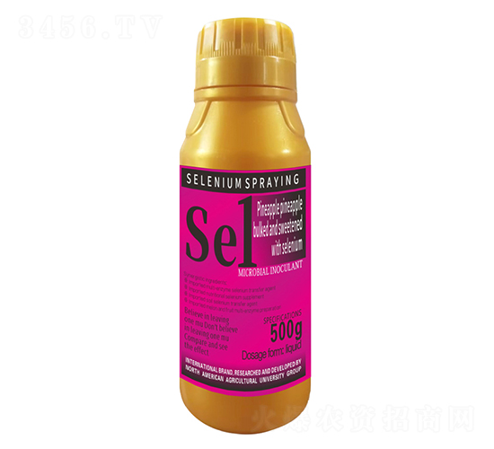 500g���}�P����������������1̖-�����r(n��ng)��