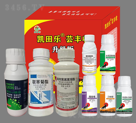 �|�S�գ��˺�һ��-�P�