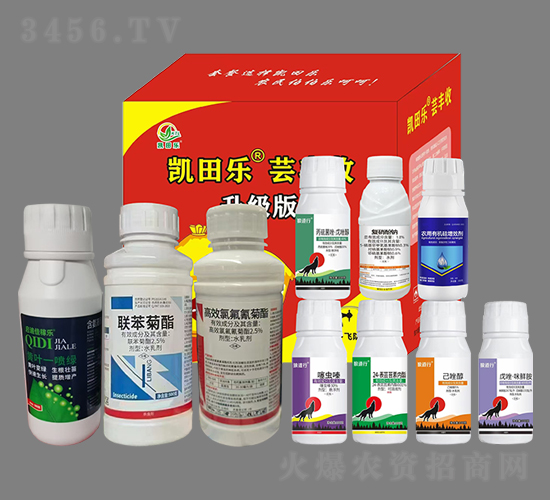 �|�S�գ�ʮ��һ��-�P�(l��)