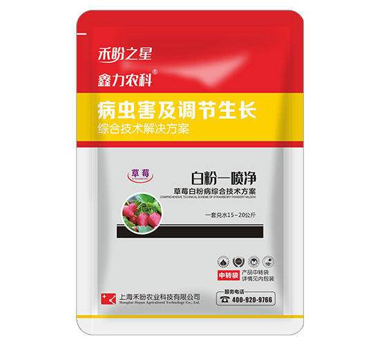 ��ݮ�׷۲��C�ϼ��g(sh��)����-�׷�һ����-����֮��-�����r(n��ng)�I(y��)