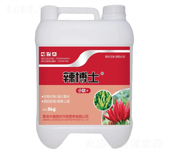 ����ʿ5KG-�а����r(n��ng)