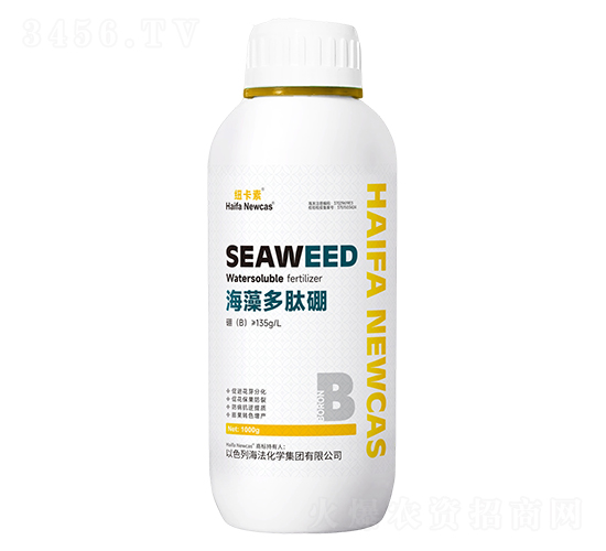 ���������-�~����-���r(n��ng)�W��