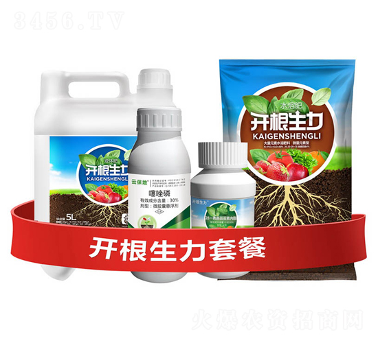 �_�������ײ�H-�ƴ�Ƽ�