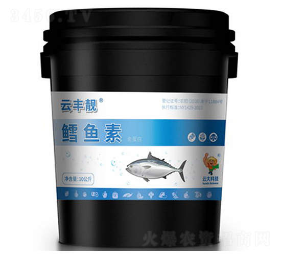 �L�~���~����-���S�n-�ƴ�Ƽ�