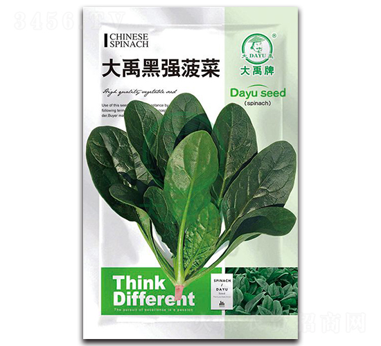 �����ڏ�(qi��ng)���˷N��-�����N�I(y��)