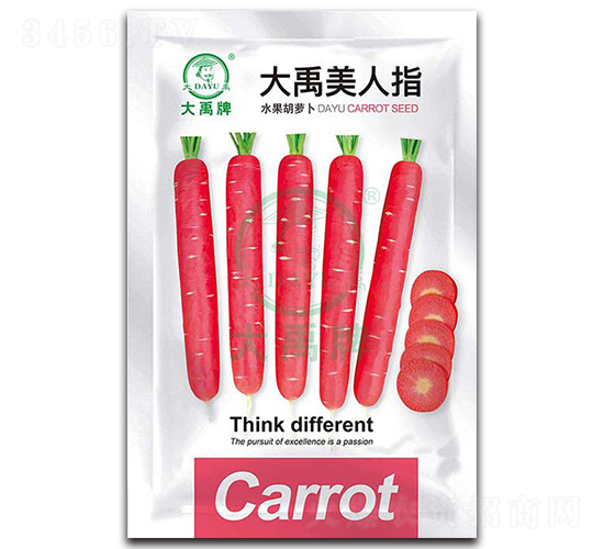 ��������ָ�}���N��-�����N�I(y��)