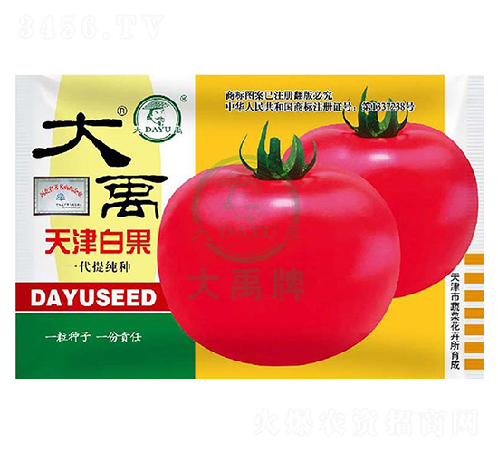 ���׹����ѷN��-�����N�I(y��)