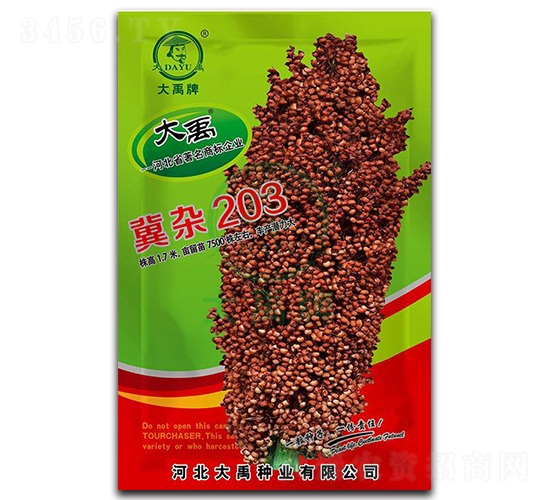 ���s203�����N��-�����N�I(y��)