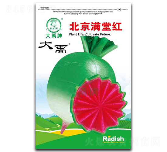 �����M�üt�}���N��-�����N�I(y��)