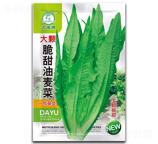 ��������˷N��-�����N�I(y��)