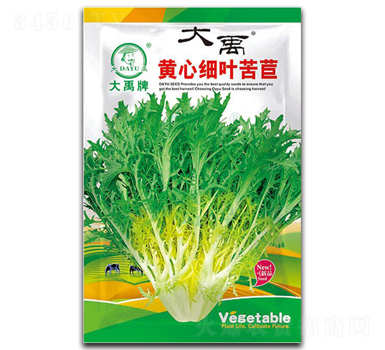 �S�ļ�(x��)�~���ķN��-�����N�I(y��)