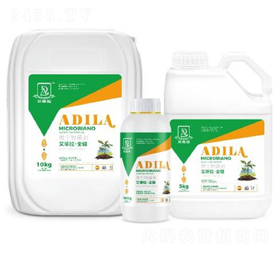 ��������ȫ��-�W����ķ��