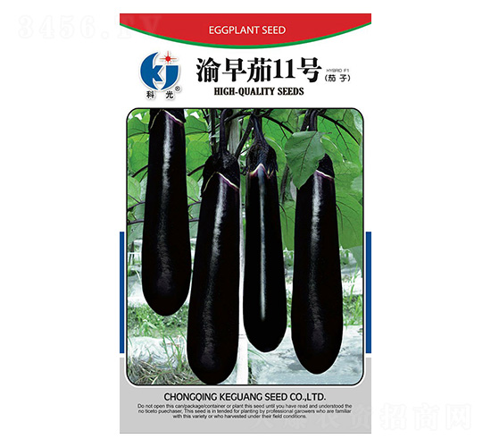 ����12̖(h��o)-�ƹ�N��