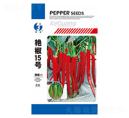 �G��15̖-�ƹ�N��