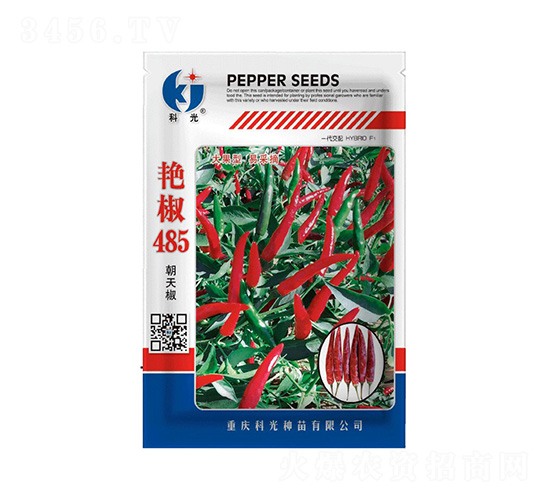 �G��485-�ƹ�N��