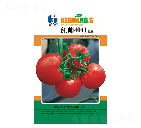 �t��4041-�ƹ�N��