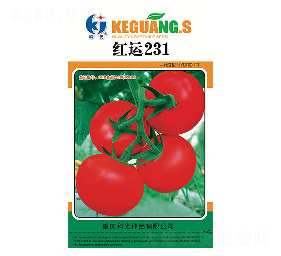 �t�\(y��n)231-�ƹ�N��