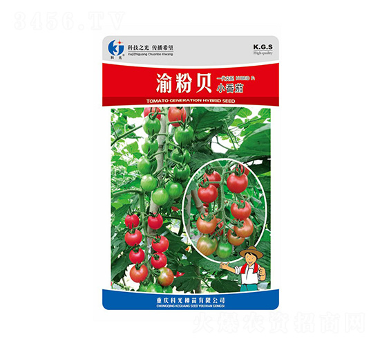 ���ؐ-�ƹ�N��