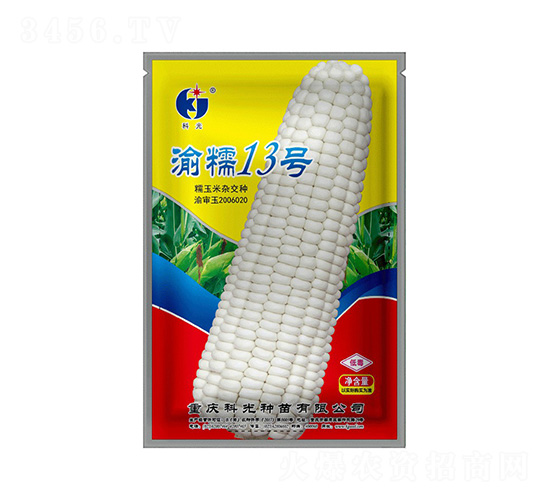 ��Ŵ13̖-�ƹ�N��