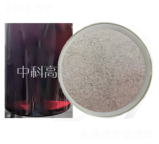 �t���Lԭˎ-��˹�r(n��ng)