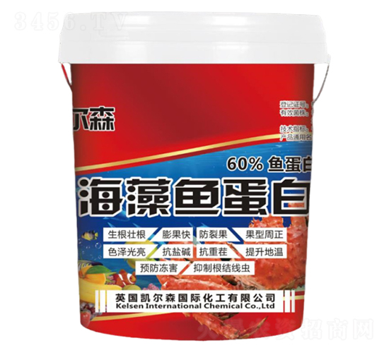 �����~����-�P��ɭ-����Ƽ�