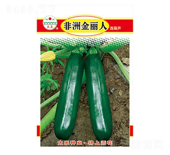 �����J�N��-���޽�����-̫���N�I(y��)