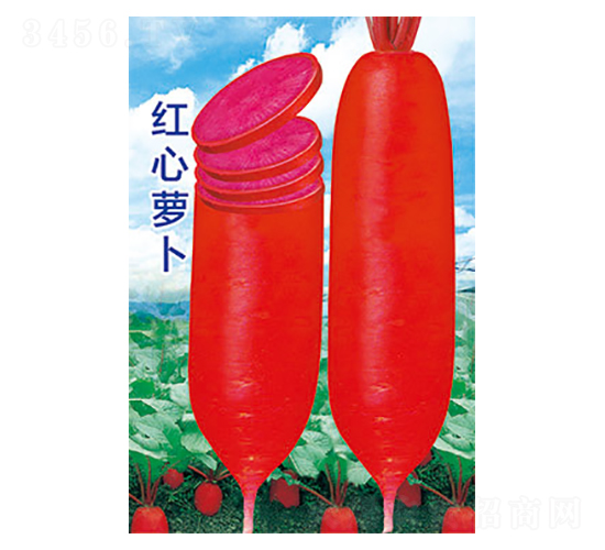 �}���N��-�t���}��-̫���N�I(y��)