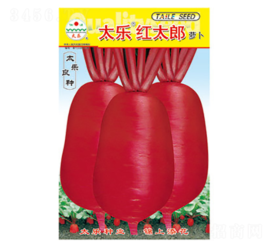 �}���N��-̫���t̫��-̫���N�I(y��)