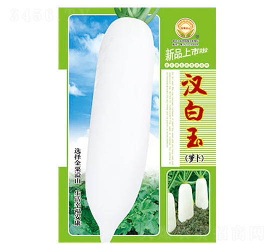 �}���N��-�h����-̫���N�I(y��)