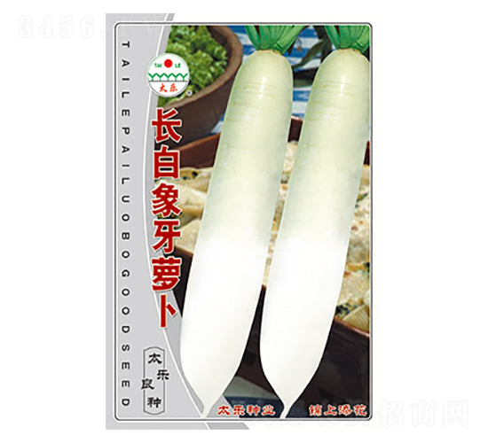 �}���N��-�L(zh��ng)�������}��-̫���N�I(y��)