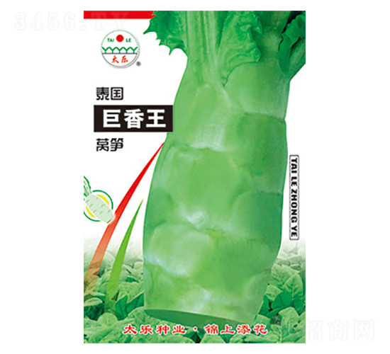 �n�S�N��-̩��(gu��)������-̫��(l��)�N�I(y��)