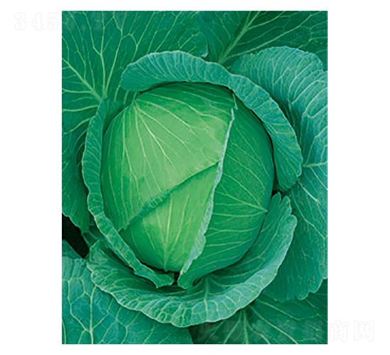 ���Sһ̖(h��o)���{(l��n)-̫���N�I(y��)