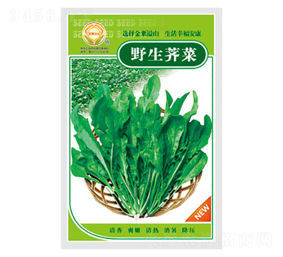 �j�˷N��-Ұ���j��-̫���N�I(y��)