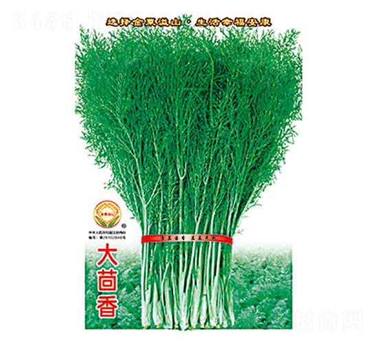 ������-̫���N�I(y��)