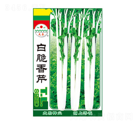 �״�����-̫���N�I(y��)