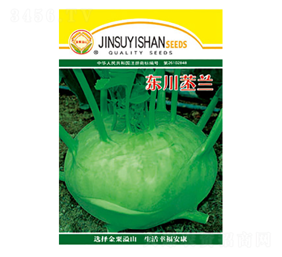 ���m�N��-�|�����m-̫��(l��)�N�I(y��)