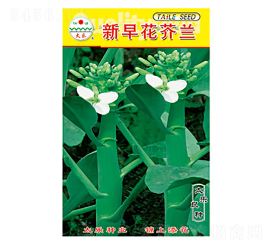 ���m�N��-���绨���m-̫���N�I(y��)