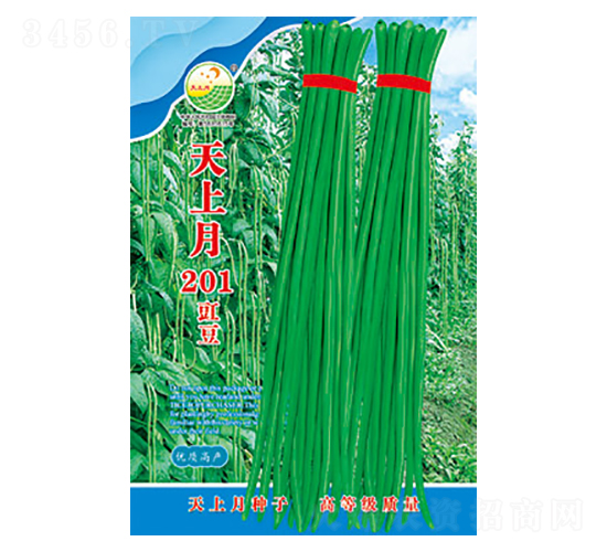 �����N��-������201-̫���N�I(y��)