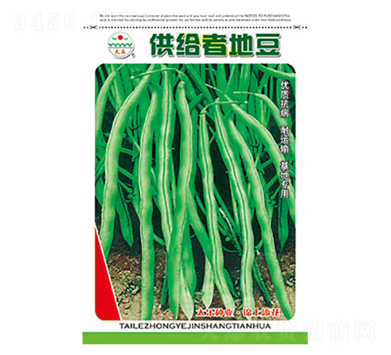 �����N��-���o�ߵض�-̫���N�I(y��)